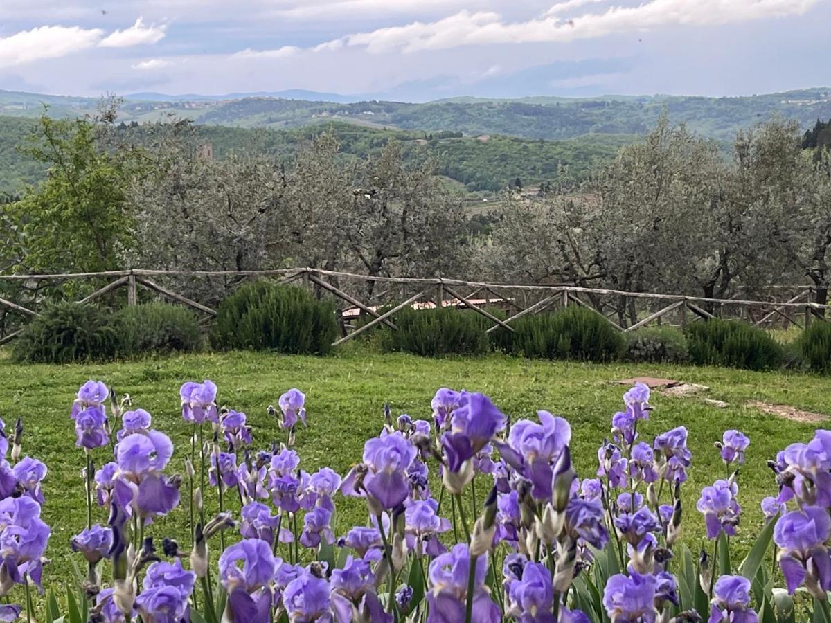 Il Fiorino Di Badia Apartment Badia A Passigano Luaran gambar