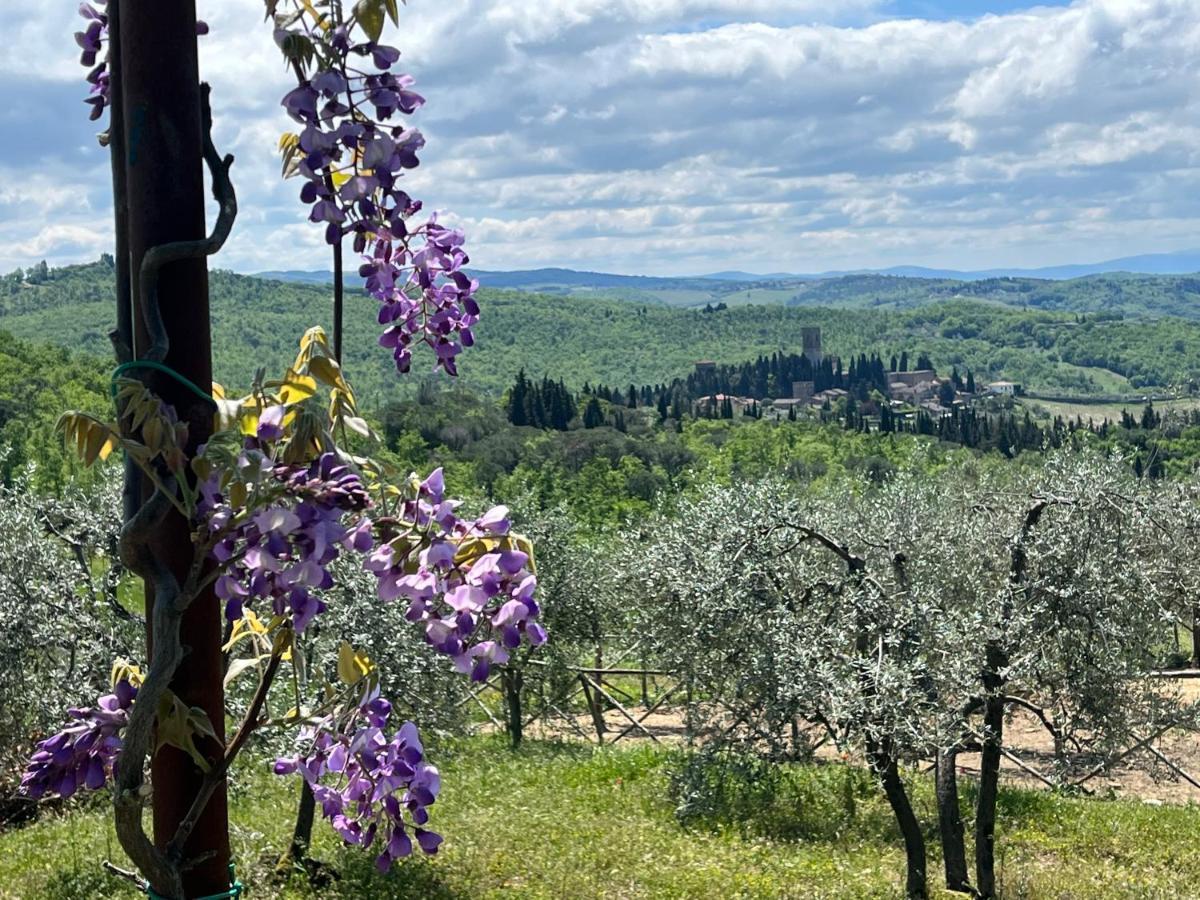 Il Fiorino Di Badia Apartment Badia A Passigano Luaran gambar