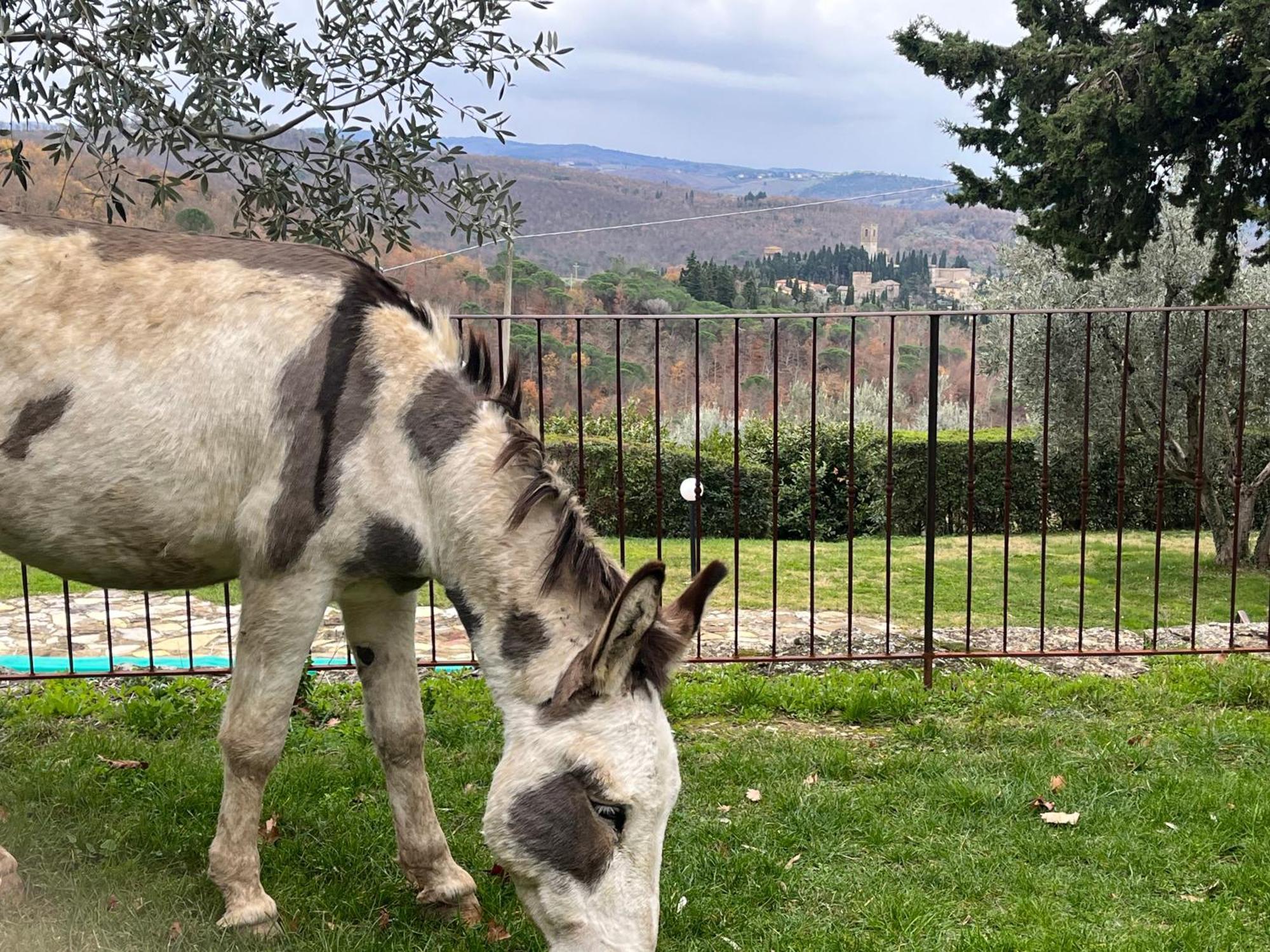 Il Fiorino Di Badia Apartment Badia A Passigano Luaran gambar