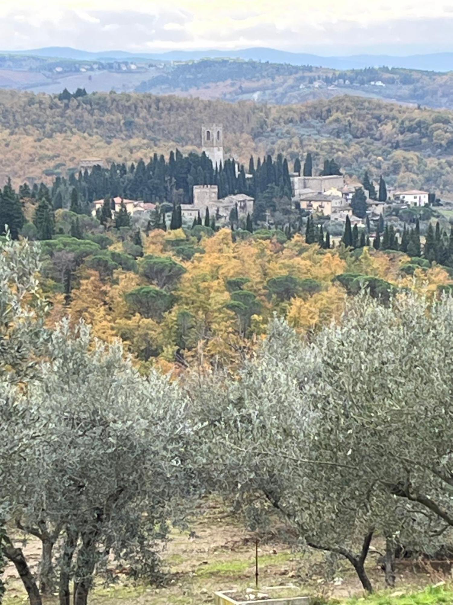 Il Fiorino Di Badia Apartment Badia A Passigano Luaran gambar