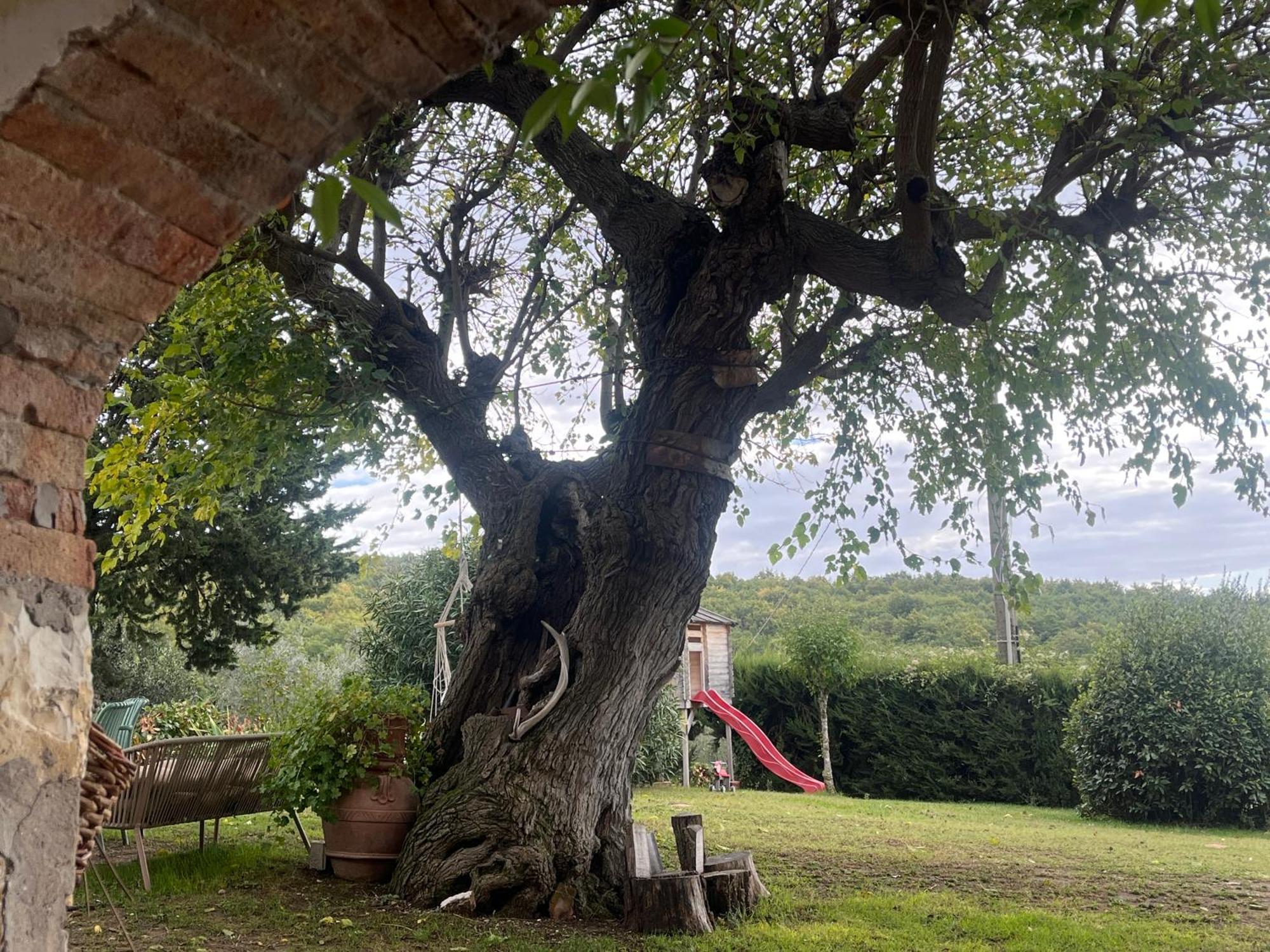 Il Fiorino Di Badia Apartment Badia A Passigano Luaran gambar
